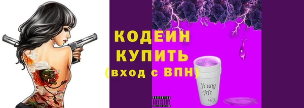 2c-b Горнозаводск