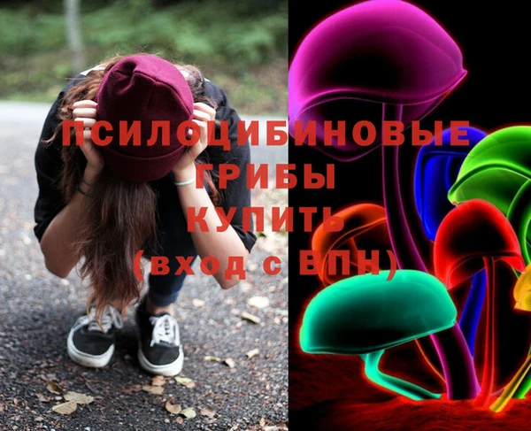 соль ск Горно-Алтайск