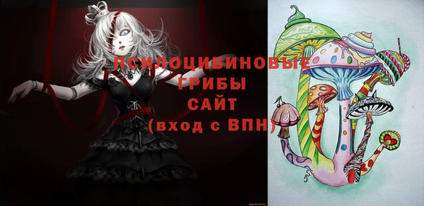 2c-b Горнозаводск