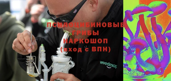 2c-b Горнозаводск