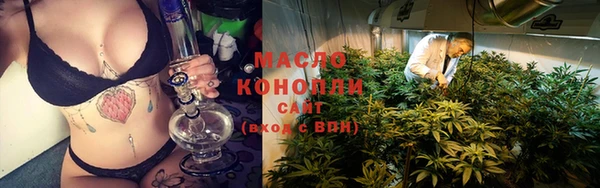 соль ск Горно-Алтайск