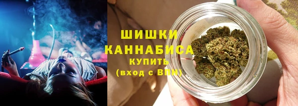 соль ск Горно-Алтайск