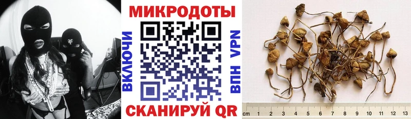 магазин Данилов Псилоцибиновые грибы GOLDEN TEACHER